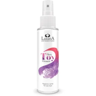Toy-Reiniger Secret Moments of Pasion Toy Cleaner 100 ml