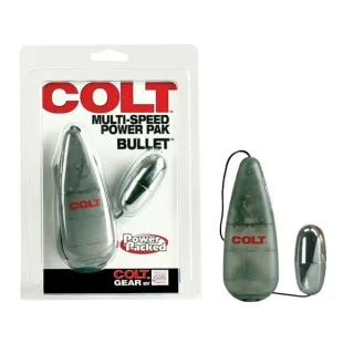 Vibrator Multi-Speed Power Pak Bullet Silber 6 x 3 cm