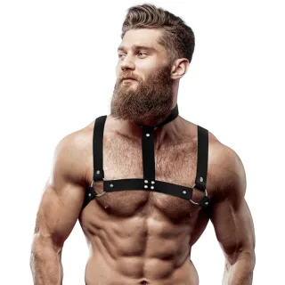 Harness Brustharness mit Halsband Schwarz