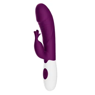 Rabbit-Vibrator High Tech Rasmussen mit 30 Funktionen Lila