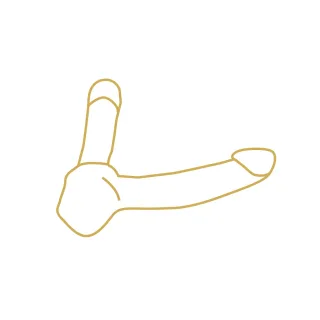 Strap On Dildo - vibrierend