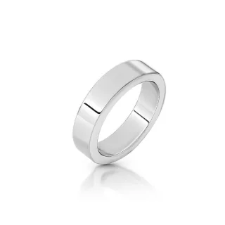 Schlichter Cockring aus Edelstahl, ? 35 bis 55 mm Innen ? 50 mm