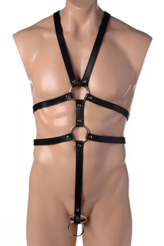 Body Harness