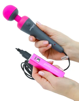 Palmpower Plug &amp; Play Massagestab plus Powerbank Grau