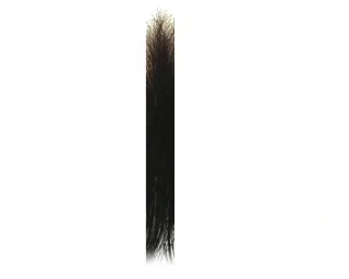 Intimbehaarung - Landing Strip