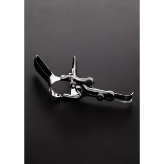 Silber