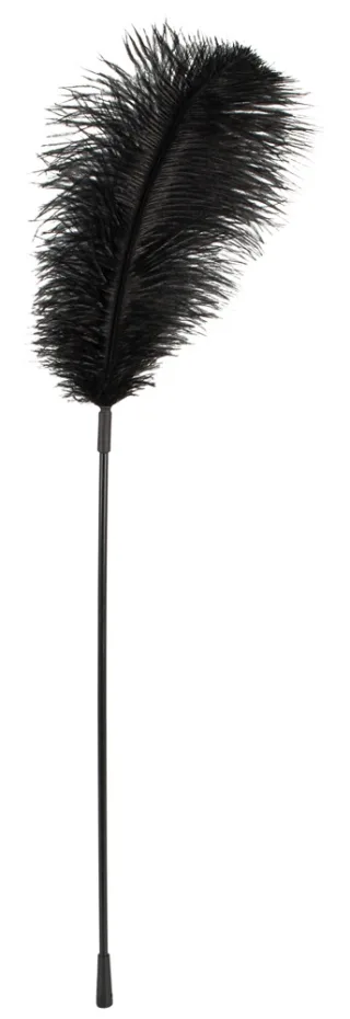 Langer Federstab Bad Kitty Schwarz