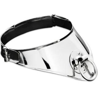Halsband aus Edelstahl mit Ring und Vorhängeschloss