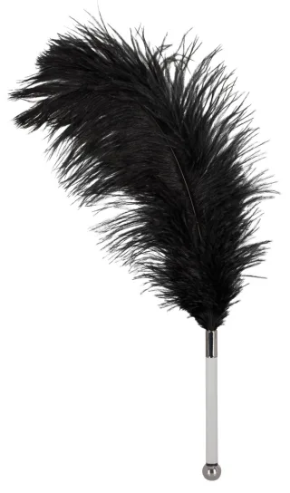 Federstab mit Plexiglas-Griff Bad Kitty Schwarz