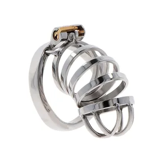 Peniskäfig Hidden Desire Extreme aus Metall Silber 6 x Ø 3,8 cm