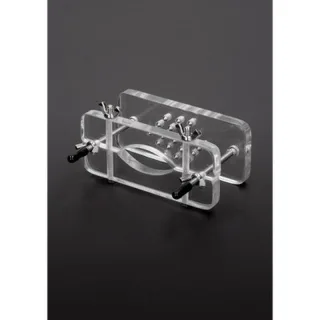 Hodenpresse aus Acryl mit Spikes Transparent
