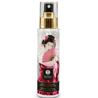 Toy-Reiniger Shunga 115 ml