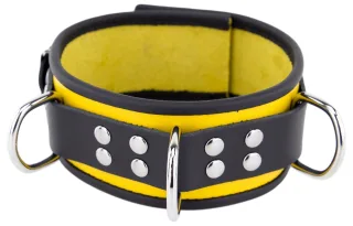 Halsband 3 D-Ring Grün