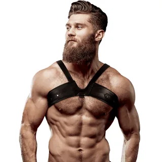 Harness Brustgurt Brigade Schwarz